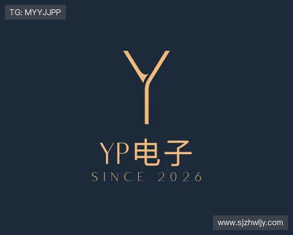 认识YP电子